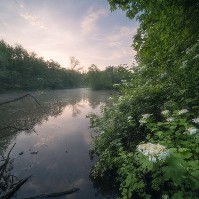 Kvetoucí Moravské luhy